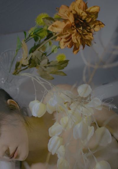 《金瓶双艳》在线观看_720动漫在线观看