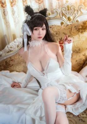 保险女王她的商业秘密电视剧_1080P神马在线观看
